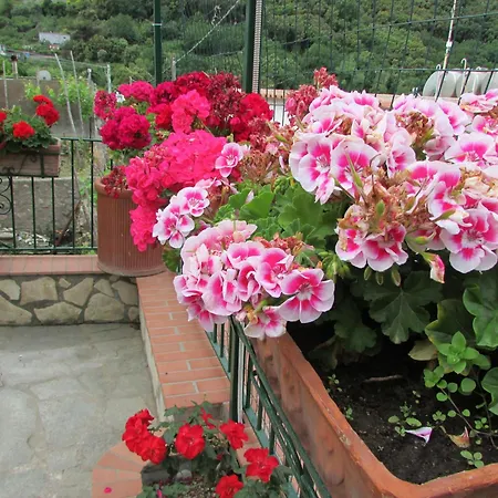 Casa Palazzo A Mare *