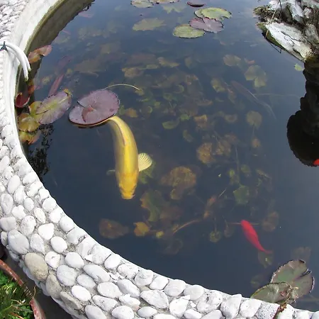 Апартаменты Casa Palazzo A Mare