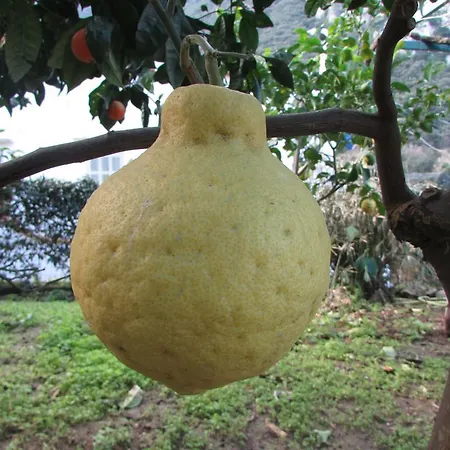 Апартаменты Casa Palazzo A Mare