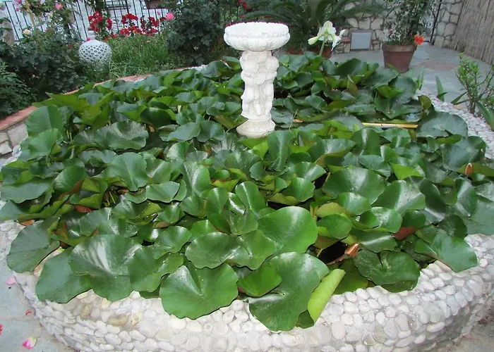 公寓 Casa Palazzo A Mare *