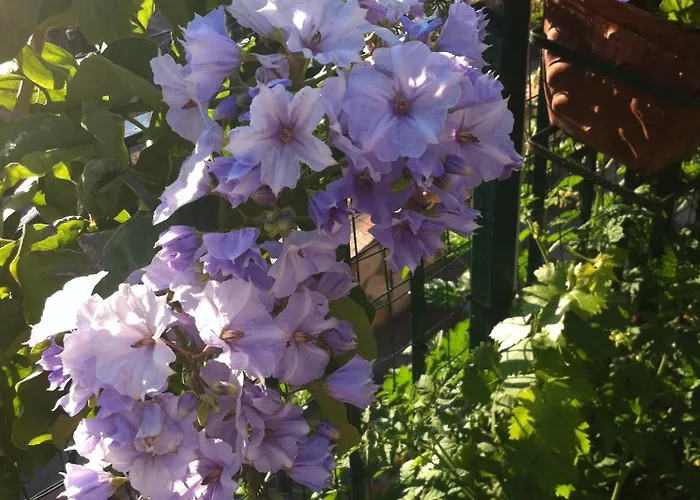 公寓 Casa Palazzo A Mare