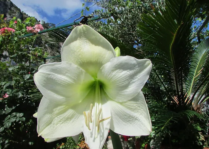 Casa Palazzo A Mare 卡普里