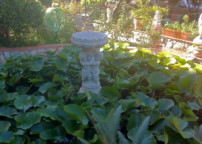 公寓 Casa Palazzo A Mare