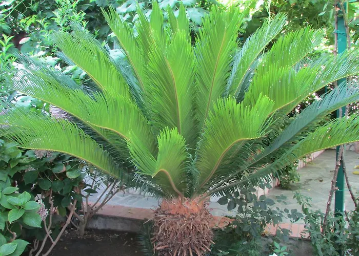 公寓 Casa Palazzo A Mare