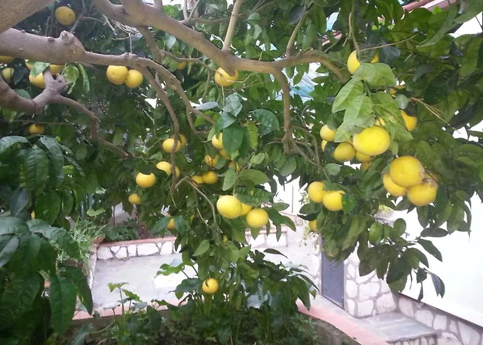 Casa Palazzo A Mare 公寓 卡普里