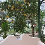 Casa Palazzo A Mare 公寓 *