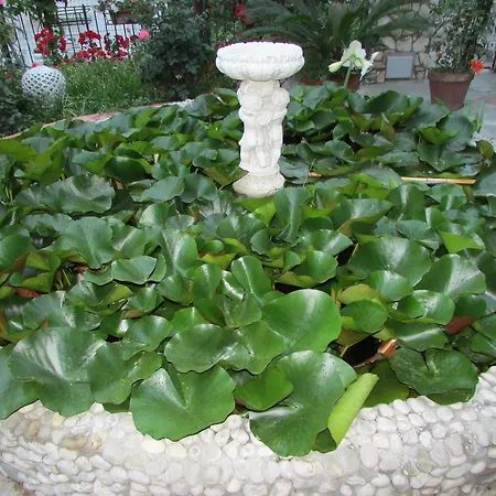 Daire Casa Palazzo A Mare *