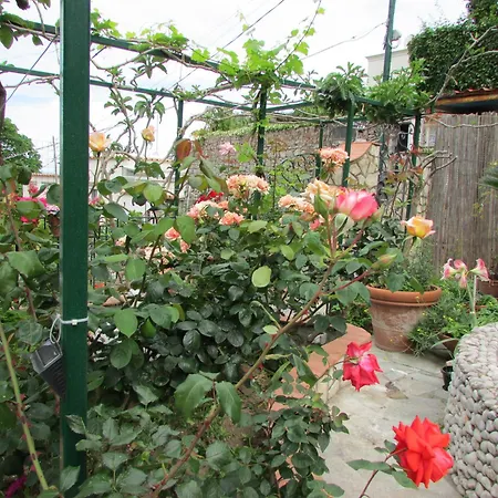 Casa Palazzo A Mare Daire