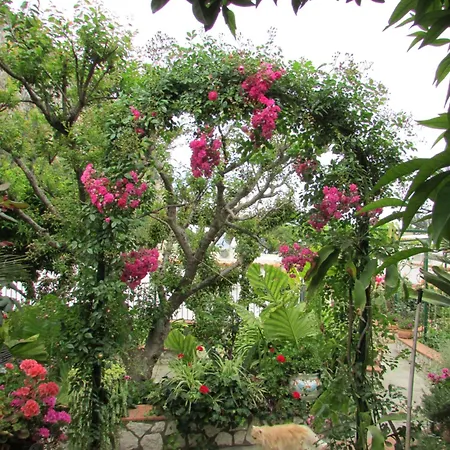 Casa Palazzo A Mare Daire *