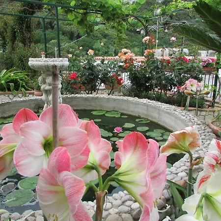 Daire Casa Palazzo A Mare *