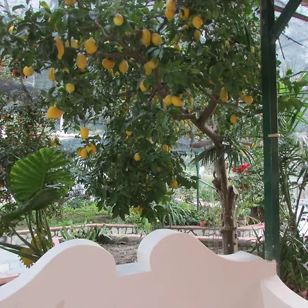 Casa Palazzo A Mare Daire *