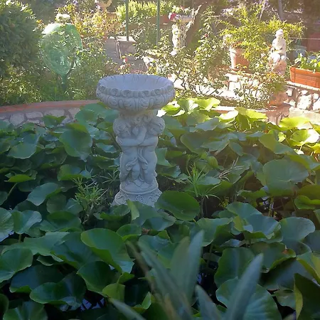 Daire Casa Palazzo A Mare