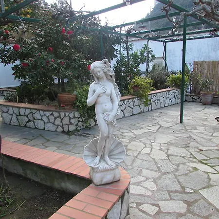 Casa Palazzo A Mare * Capri