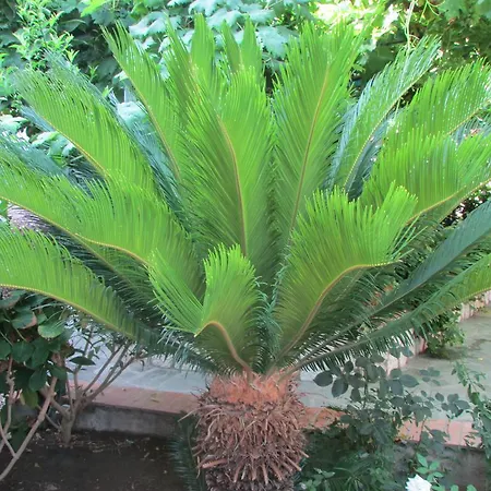 Daire Casa Palazzo A Mare