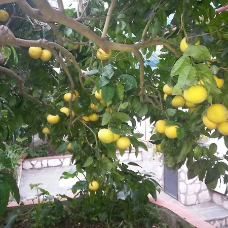 Casa Palazzo A Mare Daire Capri