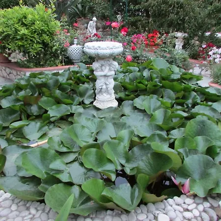 Bed & Breakfast Palazzo A Mare 2*