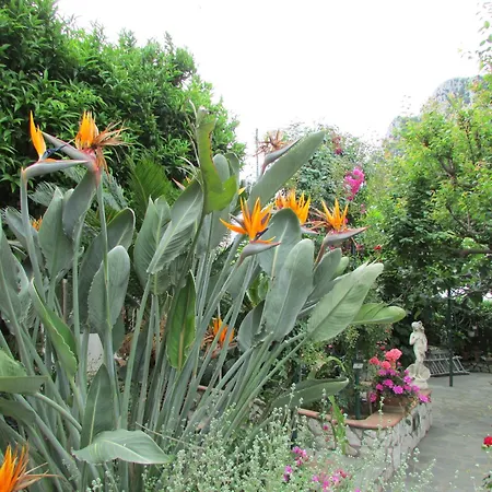 Bed & Breakfast Palazzo A Mare