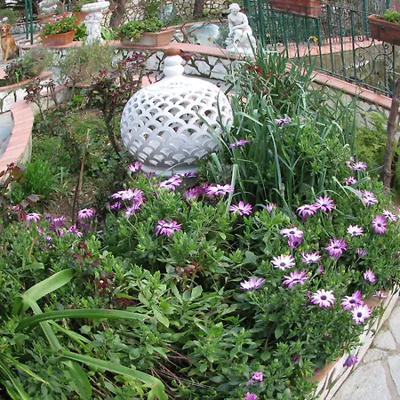 Casa Palazzo A Mare *