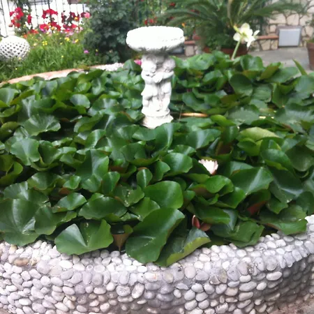 Casa Palazzo A Mare * Capri