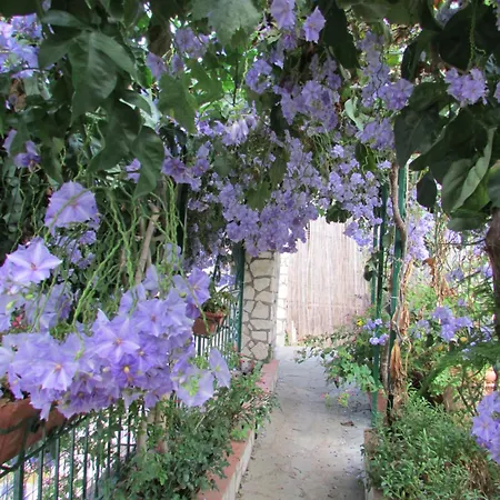 Casa Palazzo A Mare *