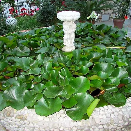 דירה Casa Palazzo A Mare *