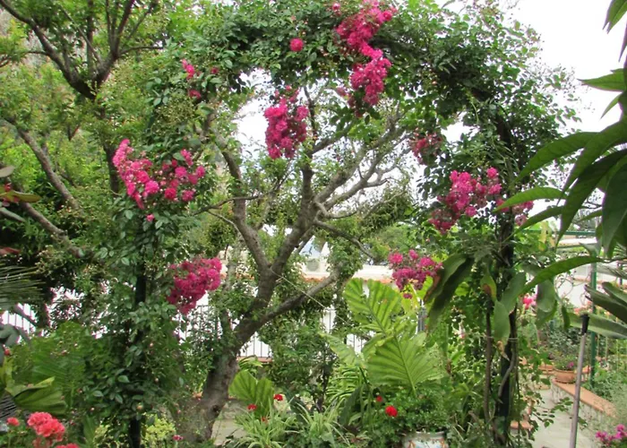 Casa Palazzo A Mare Apartamento *