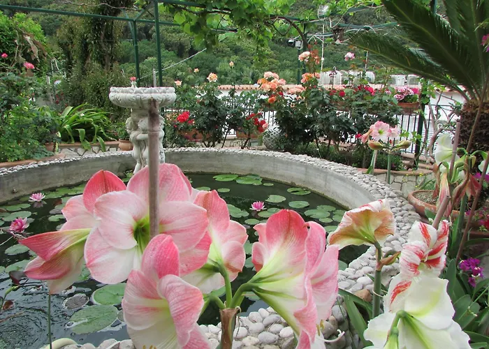 Apartamento Casa Palazzo A Mare *