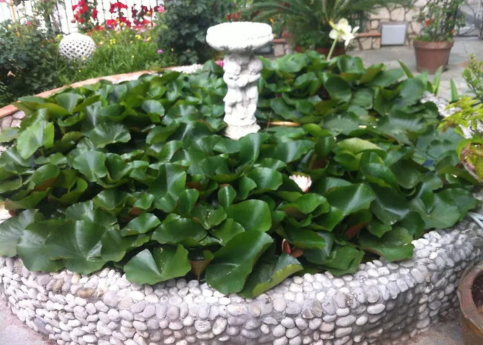 Casa Palazzo A Mare * Capri