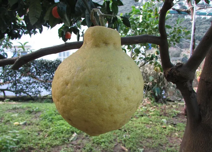 Apartamento Casa Palazzo A Mare