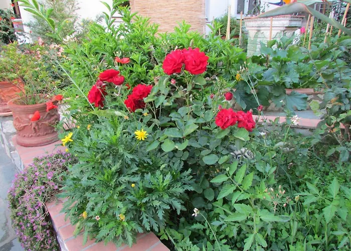 Casa Palazzo A Mare Apartamento