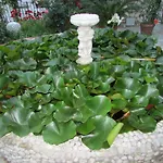 Apartamento Casa Palazzo A Mare *