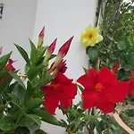 Casa Palazzo A Mare * Capri