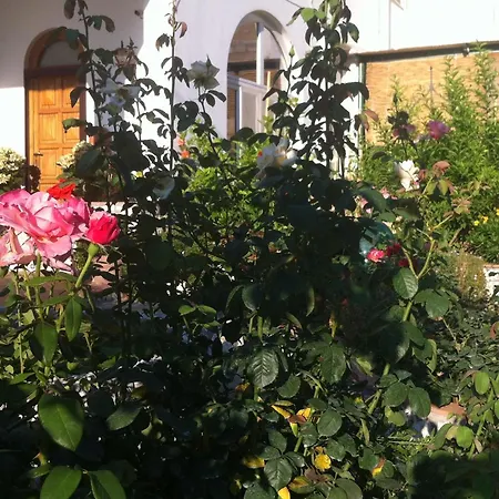 Palazzo A Mare Bed and breakfast 2*