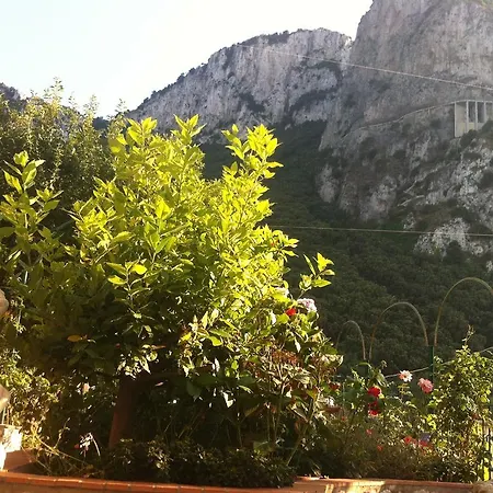 Bed and breakfast Palazzo A Mare Capri