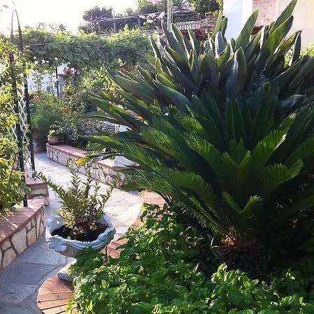 Bed and breakfast Palazzo A Mare Capri