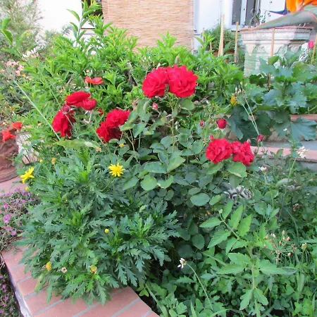 Palazzo A Mare Bed and breakfast